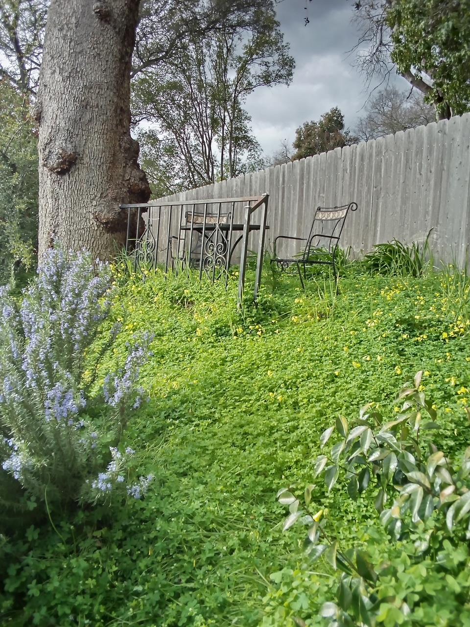 4800 Auburn Folsom Road, Unit 29 Loomis, CA 95650 - Photo 9 of 19 a garden view
