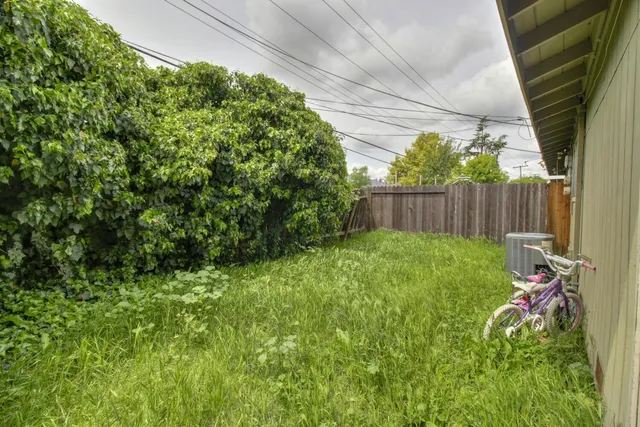 a view of a backyard with plants and a small cabin