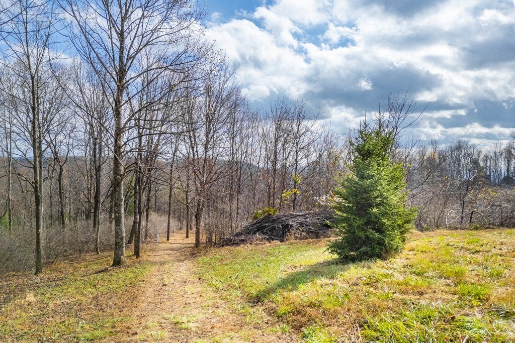 3.8-acre Dogwood Ridge, Unit 2B Fancy Gap, VA 24328 - Photo 29 of 39 Gallery Image 29