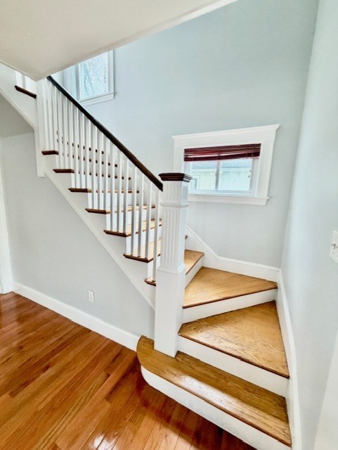 64 Robertson Street, Unit 64 Quincy, MA 02169 - Photo 20 of 42