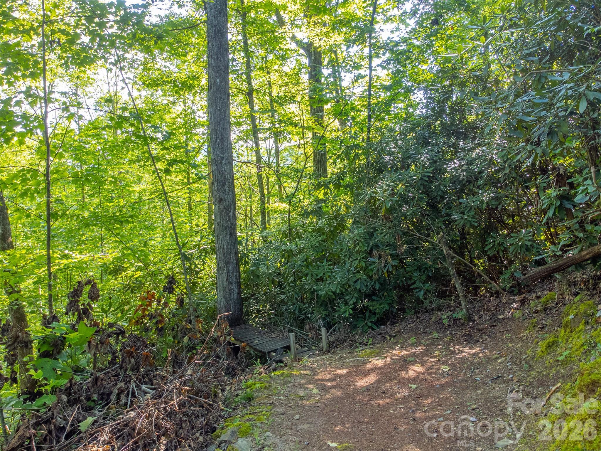 283 Briggs Cove Road Robbinsville, NC 28771 - Photo 32 of 48