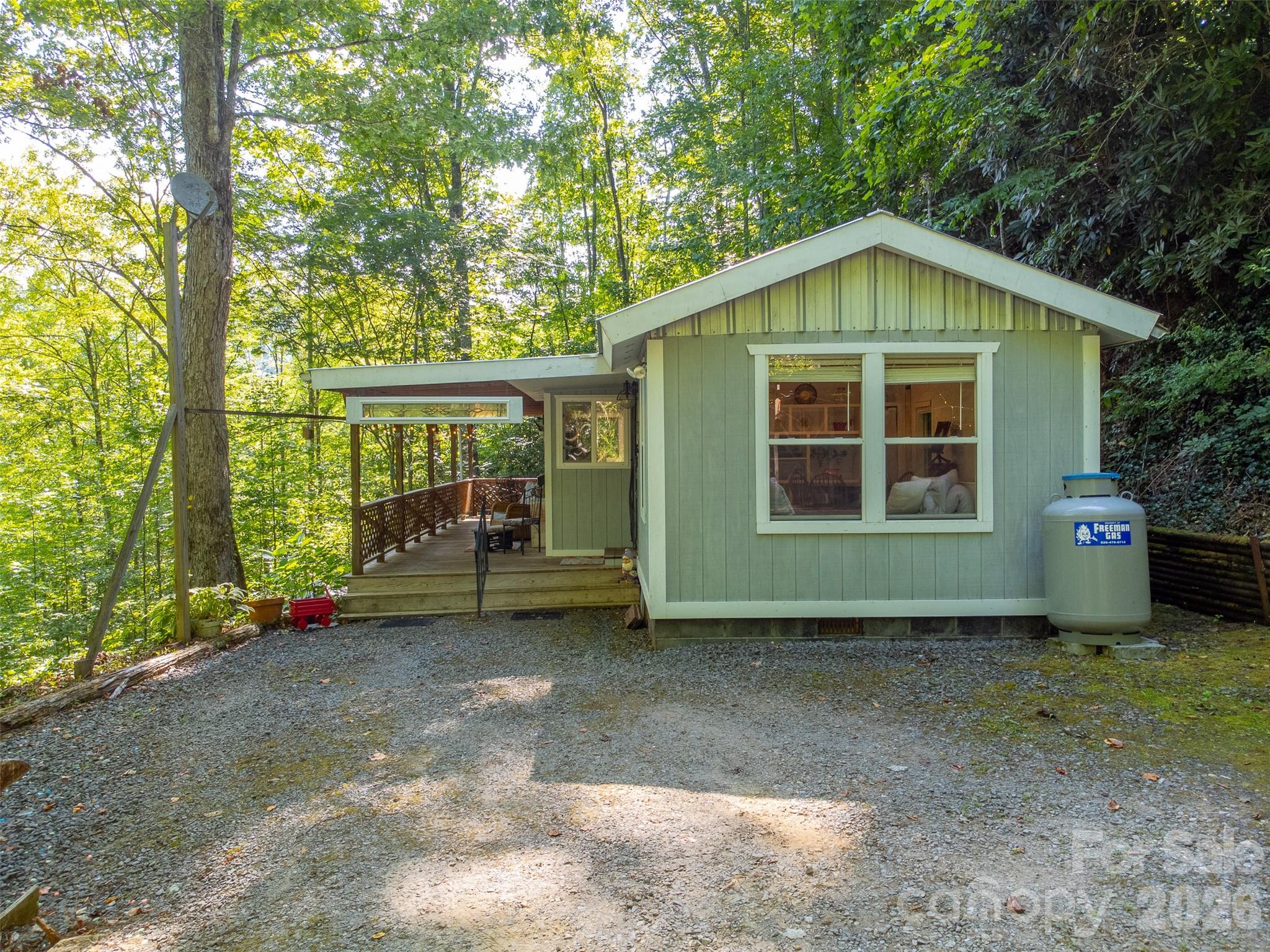 283 Briggs Cove Road Robbinsville, NC 28771 - Photo 4 of 48