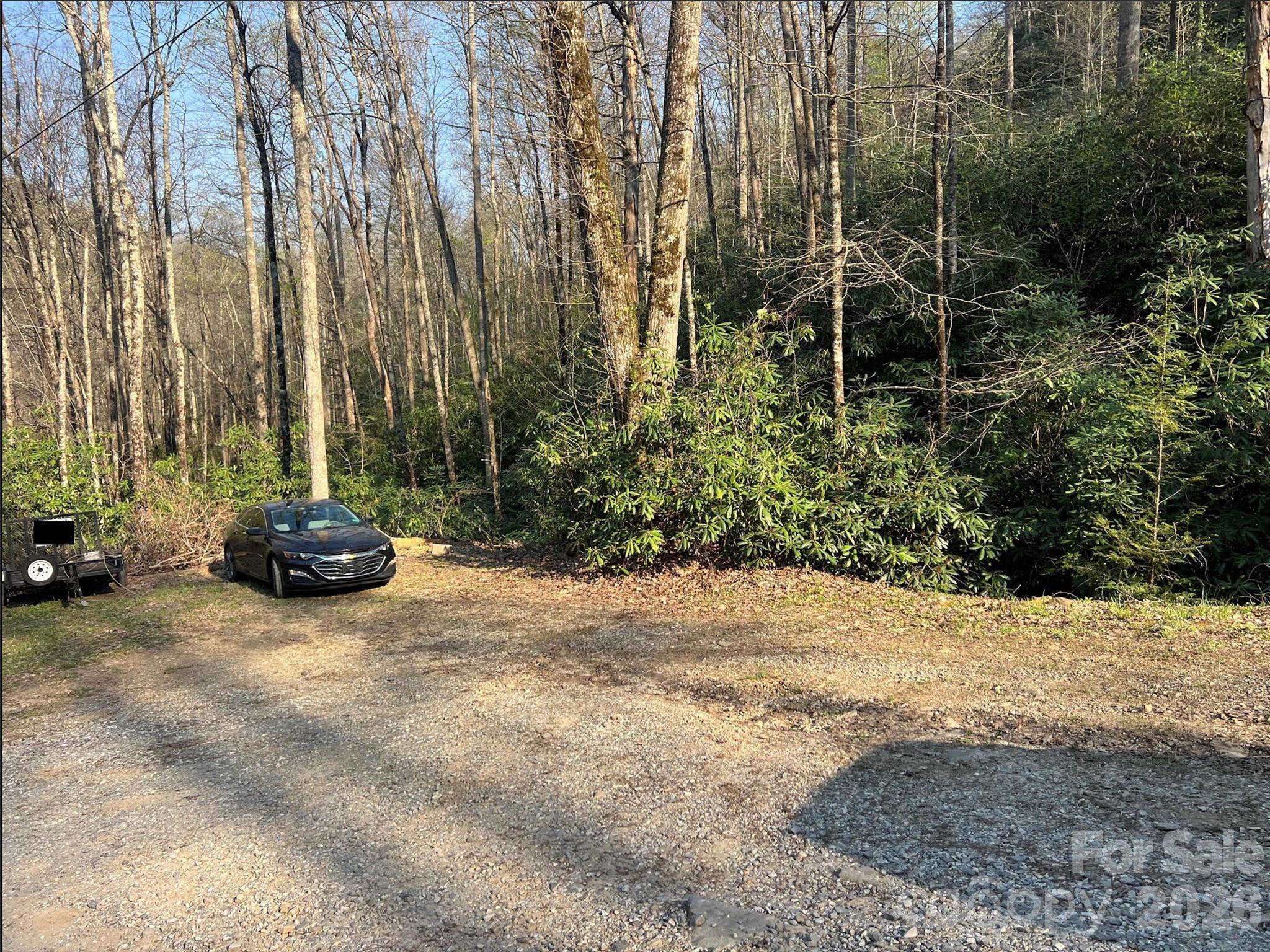 283 Briggs Cove Road Robbinsville, NC 28771 - Photo 48 of 48