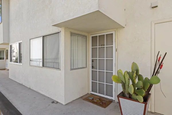 a view of a potted plant in front of a house