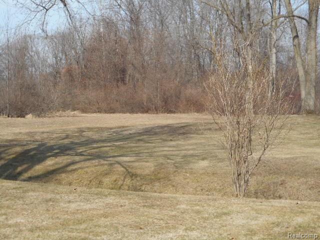 41124 Savage Road Belleville, MI 48111 - Photo 73 of 88 DSCN6184.JPG