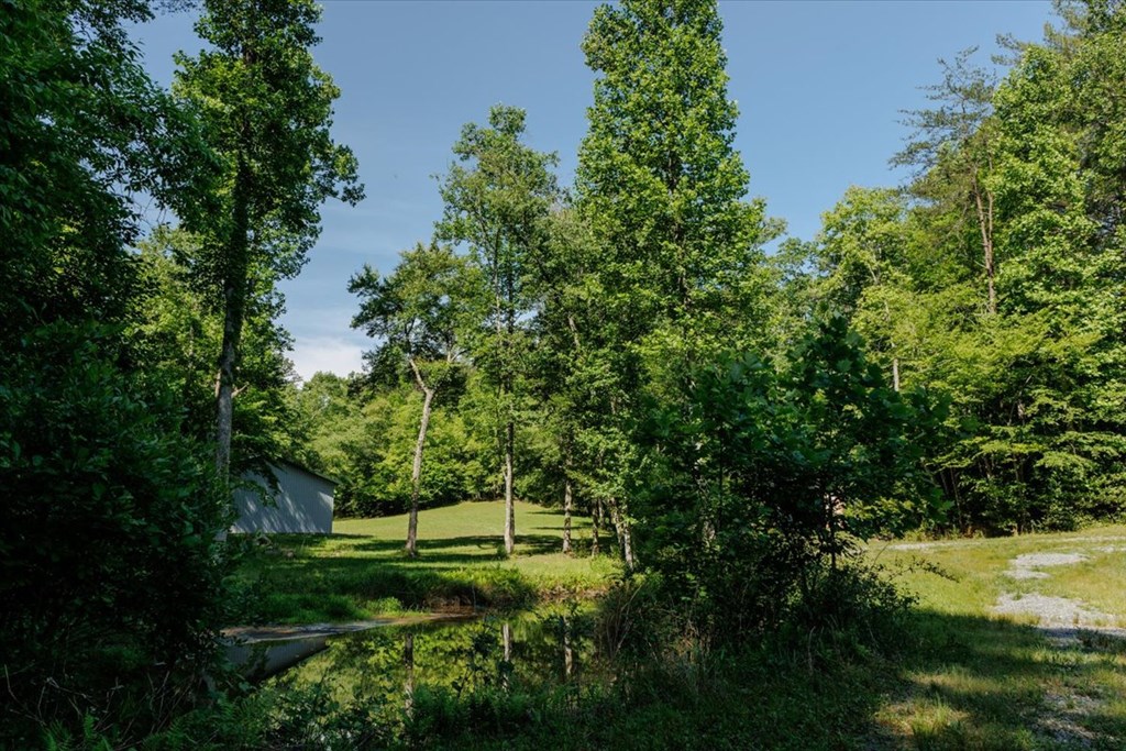 5260 Hardscrabble Road Mineral Bluff, GA 30559 - Photo 16 of 52