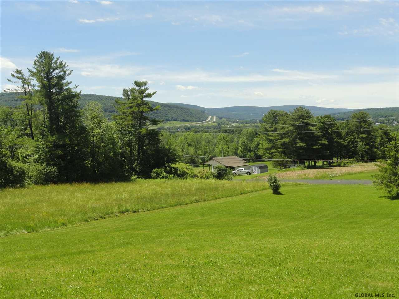 214 Zicha Road Esperance, NY 12092 - Photo 3 of 25 Photo 3