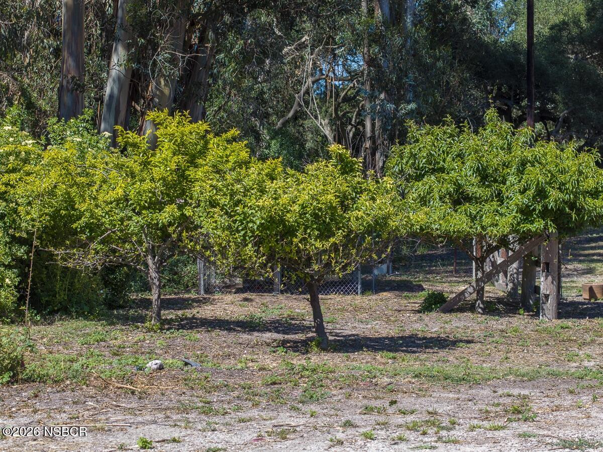 870 Lasalle Canyon Road Lompoc, CA 93436 - Photo 34 of 45 LaSalle Canyon - Web-34