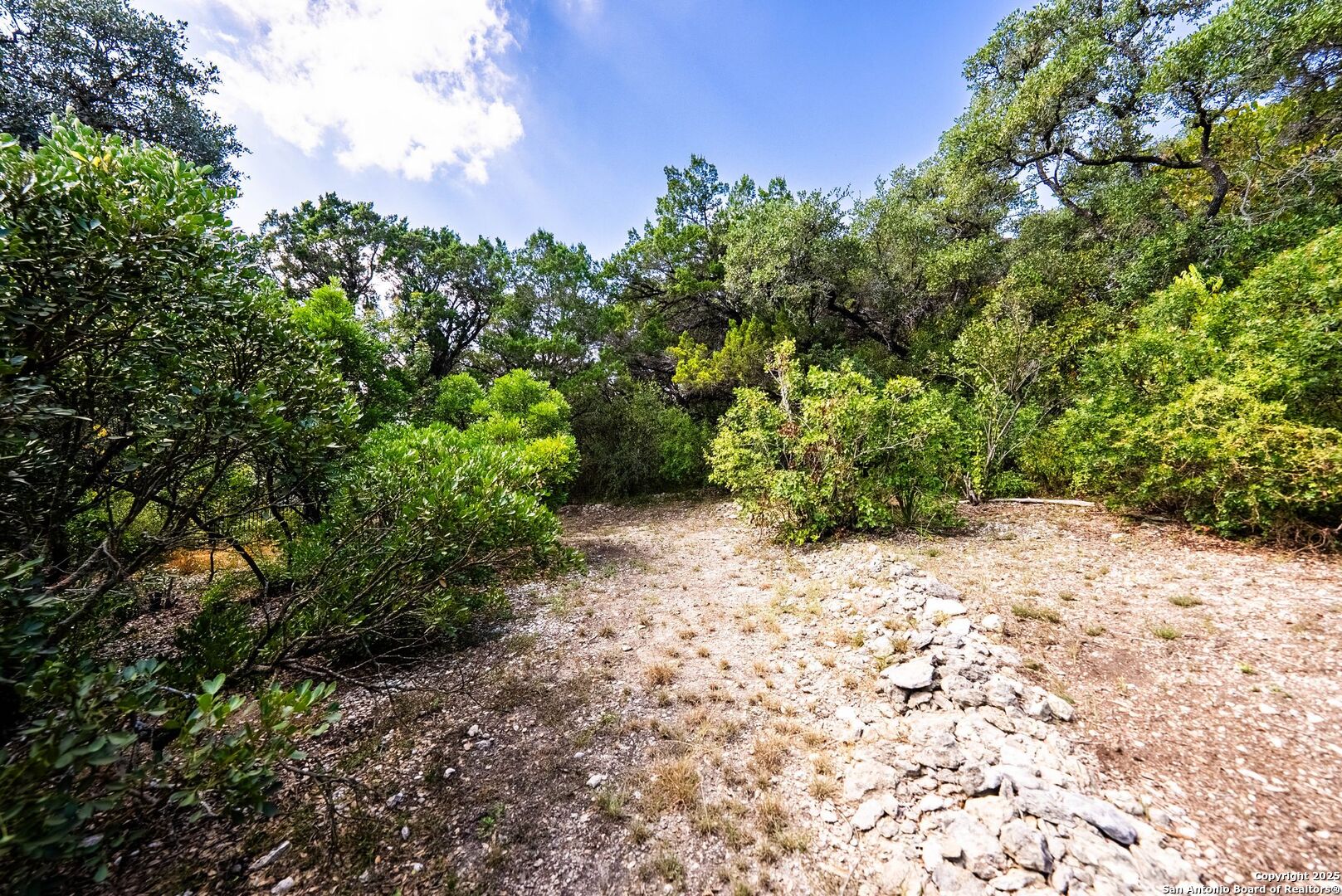15921 Reyes Ridge Helotes, TX 78023 - Photo 49 of 68 a pathway of a yard
