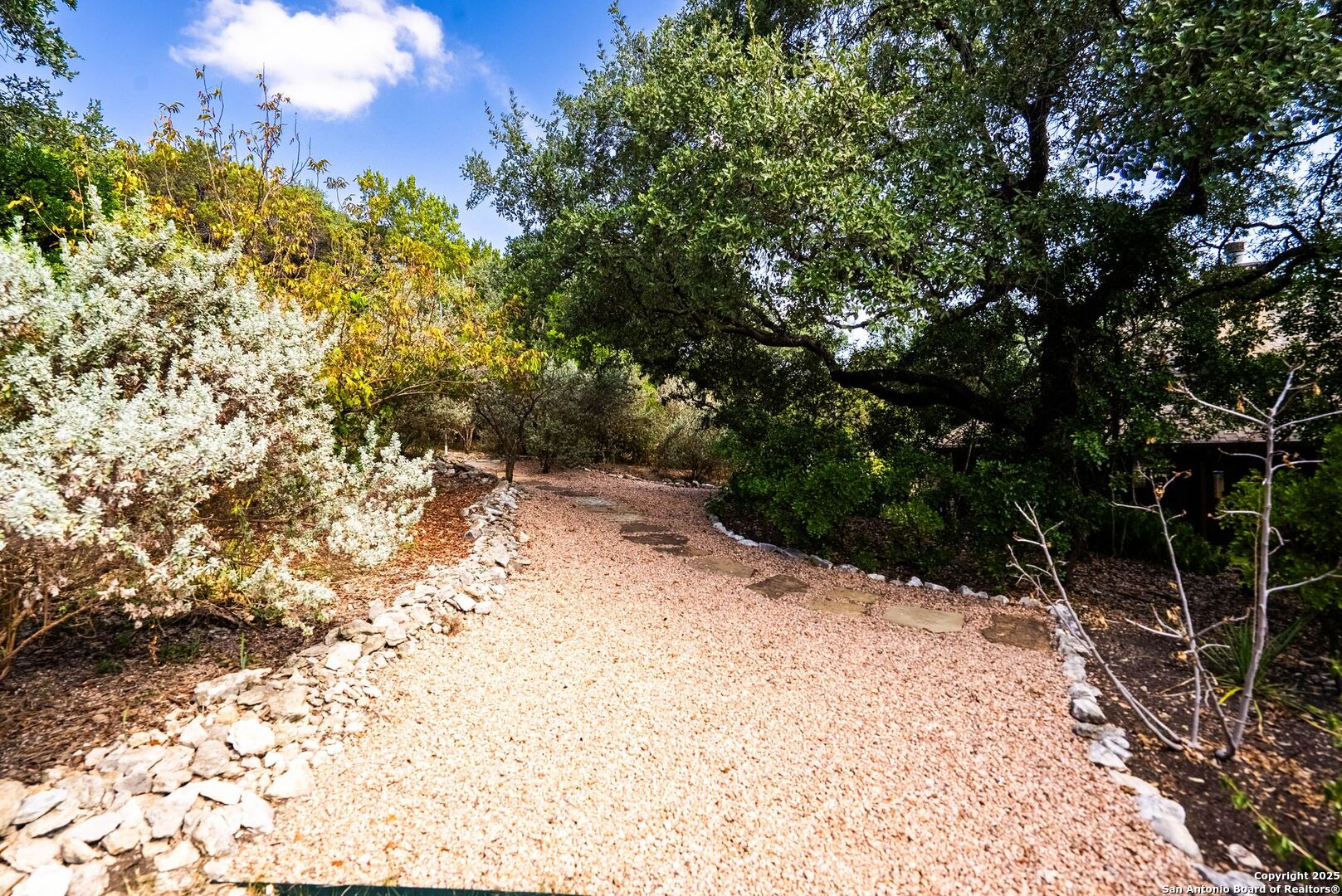 15921 Reyes Ridge Helotes, TX 78023 - Photo 50 of 68 a view of a yard with a tree