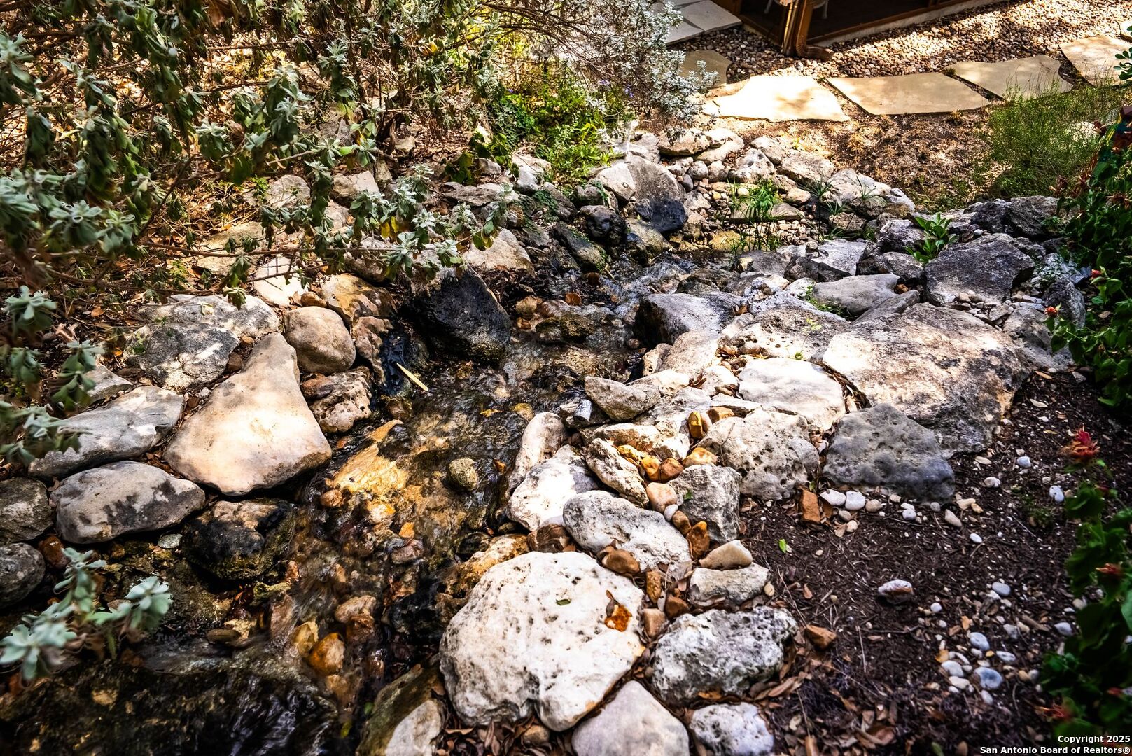 15921 Reyes Ridge Helotes, TX 78023 - Photo 54 of 68 a view of a tree