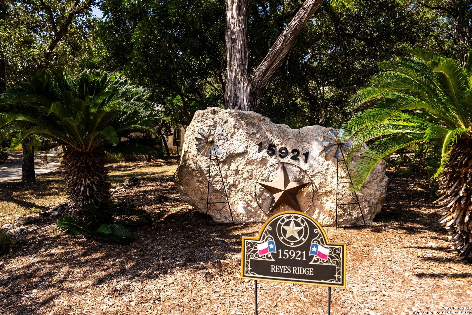15921 Reyes Ridge Helotes, TX 78023 - Photo 6 of 68