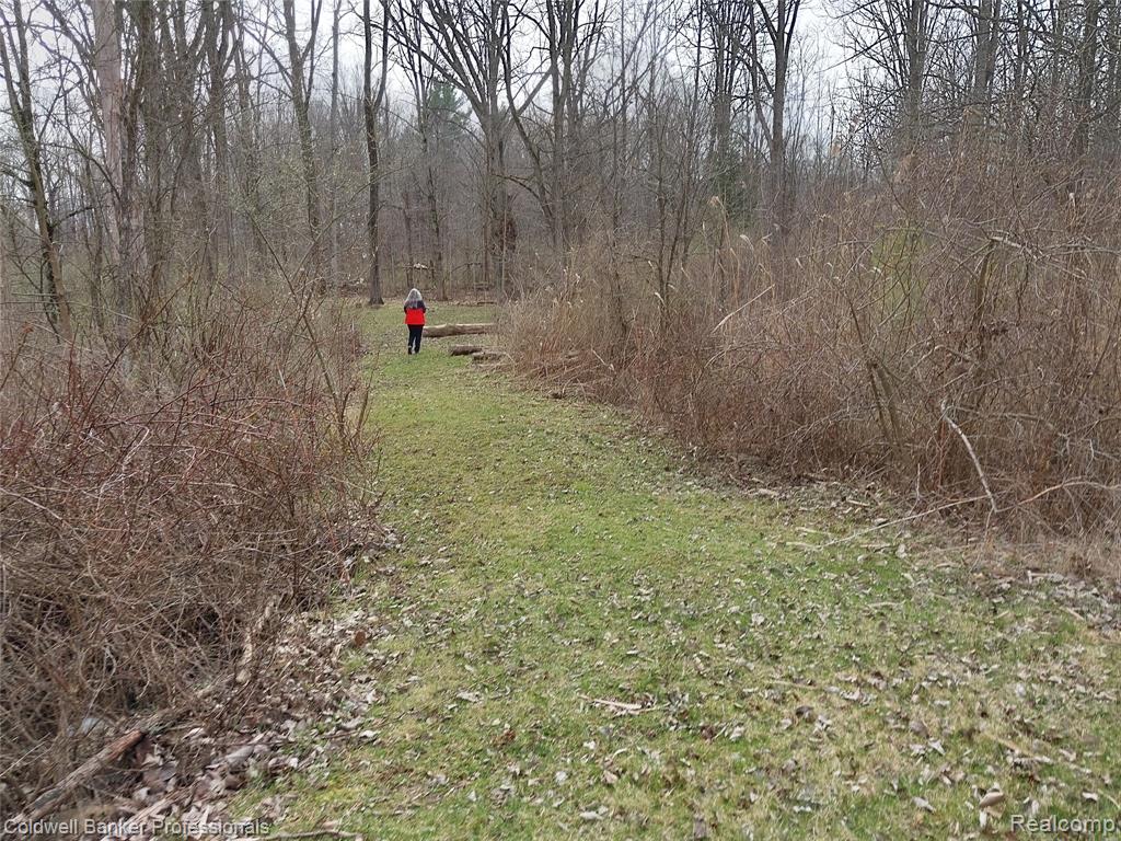 Vl Rattle Run Road St. Clair, MI 48079 - Photo 13 of 45 Gallery Image 13