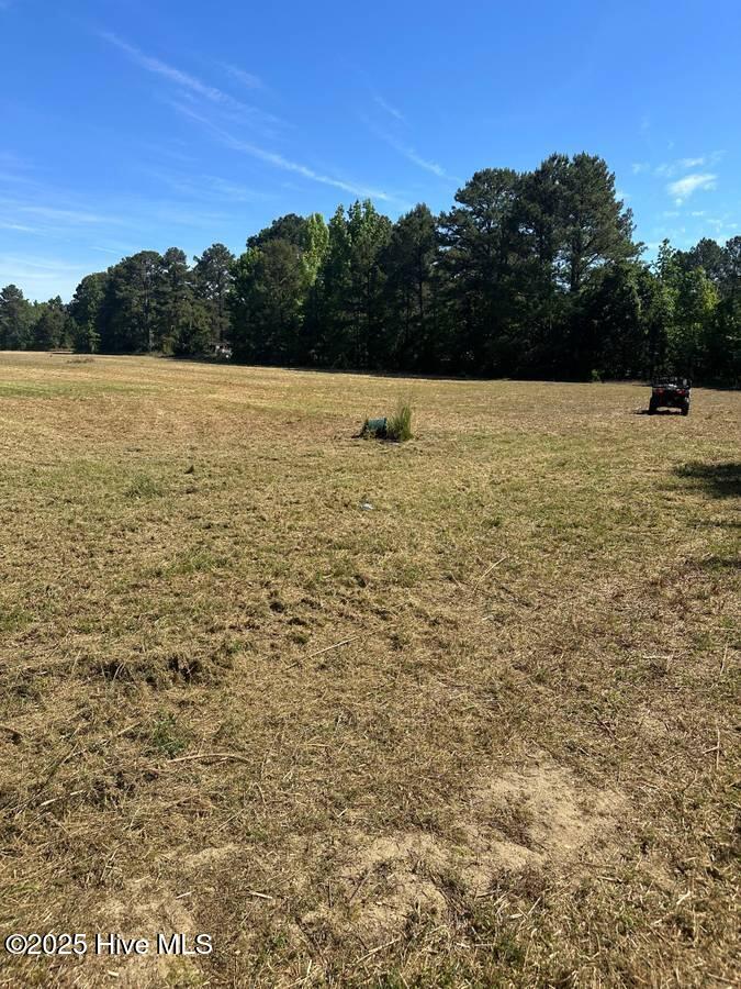 4351 Swift Creek School Road Whitakers, NC 27891 - Photo 11 of 14 Image 10