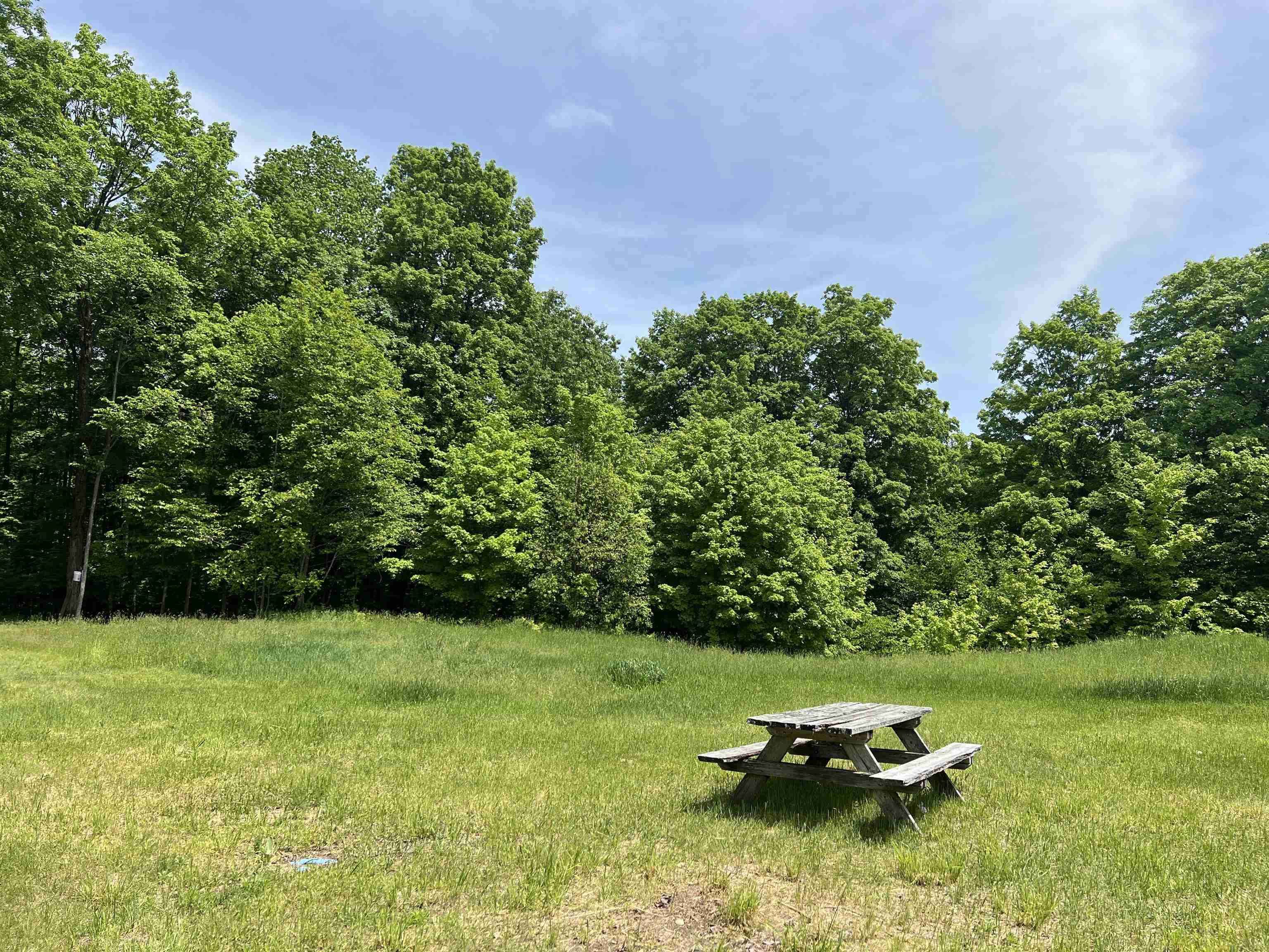 1120 Overhill Road Northwest Alden, MI 49612 - Photo 21 of 35 Gallery Image 21