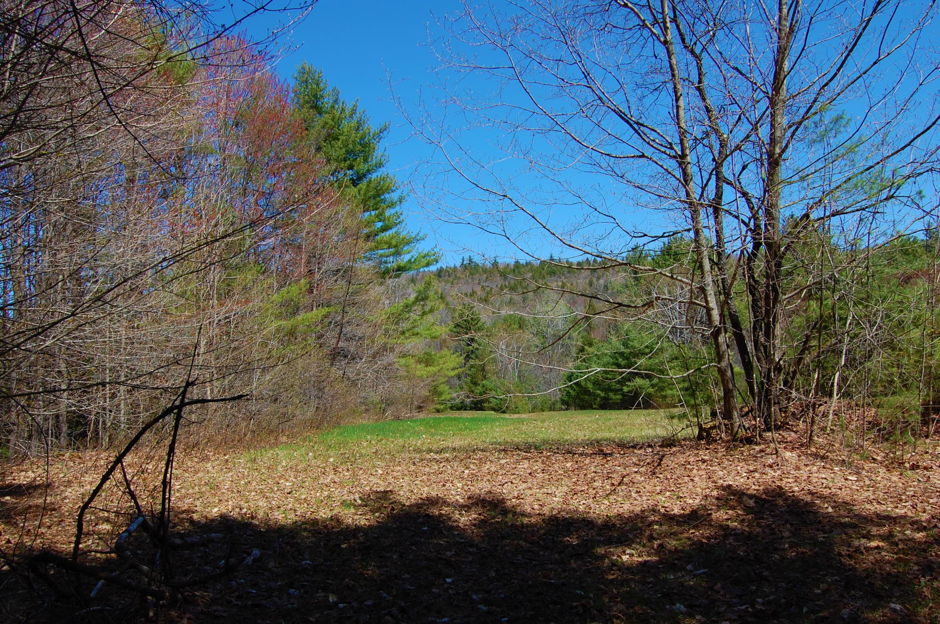 0 Rome Road Mercer, ME 04957 - Photo 11 of 20 Mercer8