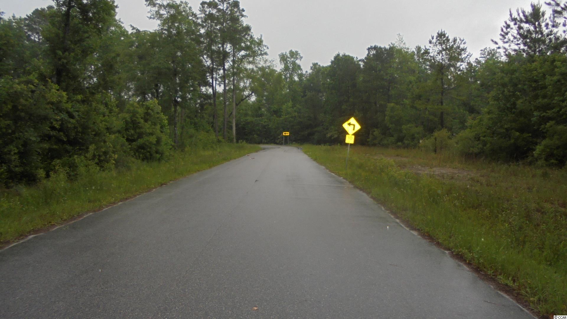 2025 Princess Street Loris, SC 29569 - Photo 22 of 23 Gallery Image 22