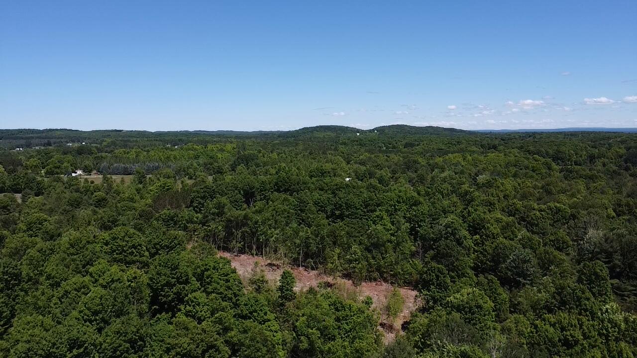 7.91-acres Butwell Road Bear Lake, MI 49614 - Photo 22 of 22 2026-06-22-15-03-58-696