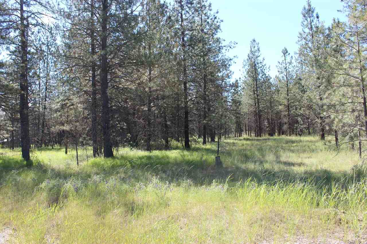 0 East Bridges Road Elk, WA 99009 - Photo 2 of 9
