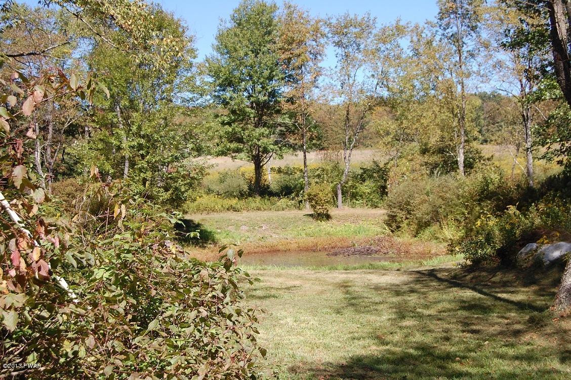 Case Rd Beach Lake Beach Lake, PA 18405 - Photo 6 of 12