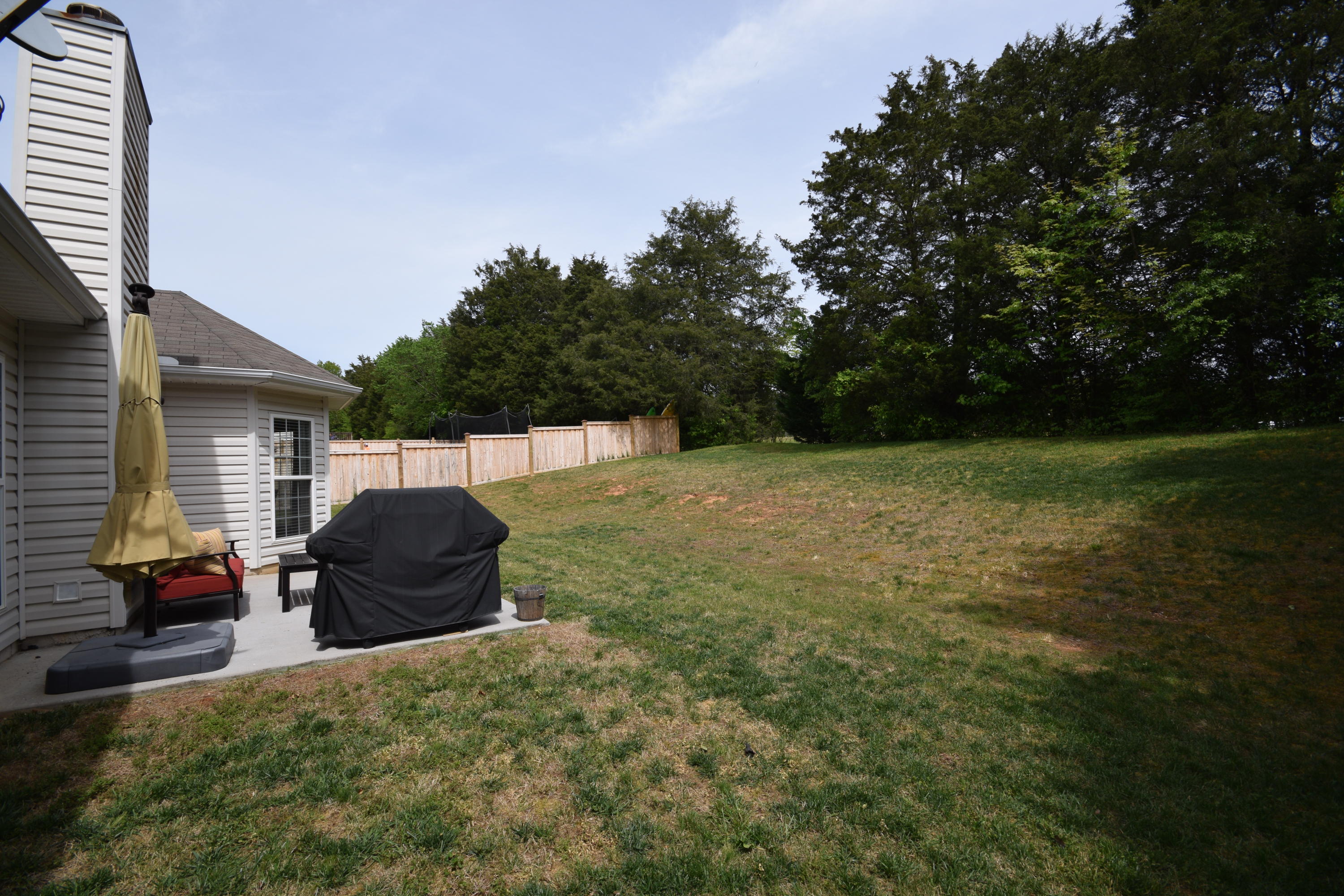 1354 Wineberry Road Powell, TN 37849 - Photo 18 of 18 DSC_2919