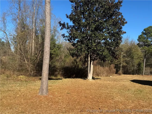 a street view covered with snow