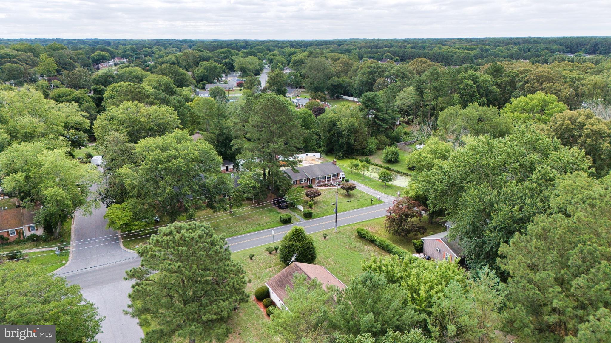 503 Gunby Road Salisbury, MD 21804 - Photo 36 of 36 Lush greenery surrounds a tranquil neighborhood.