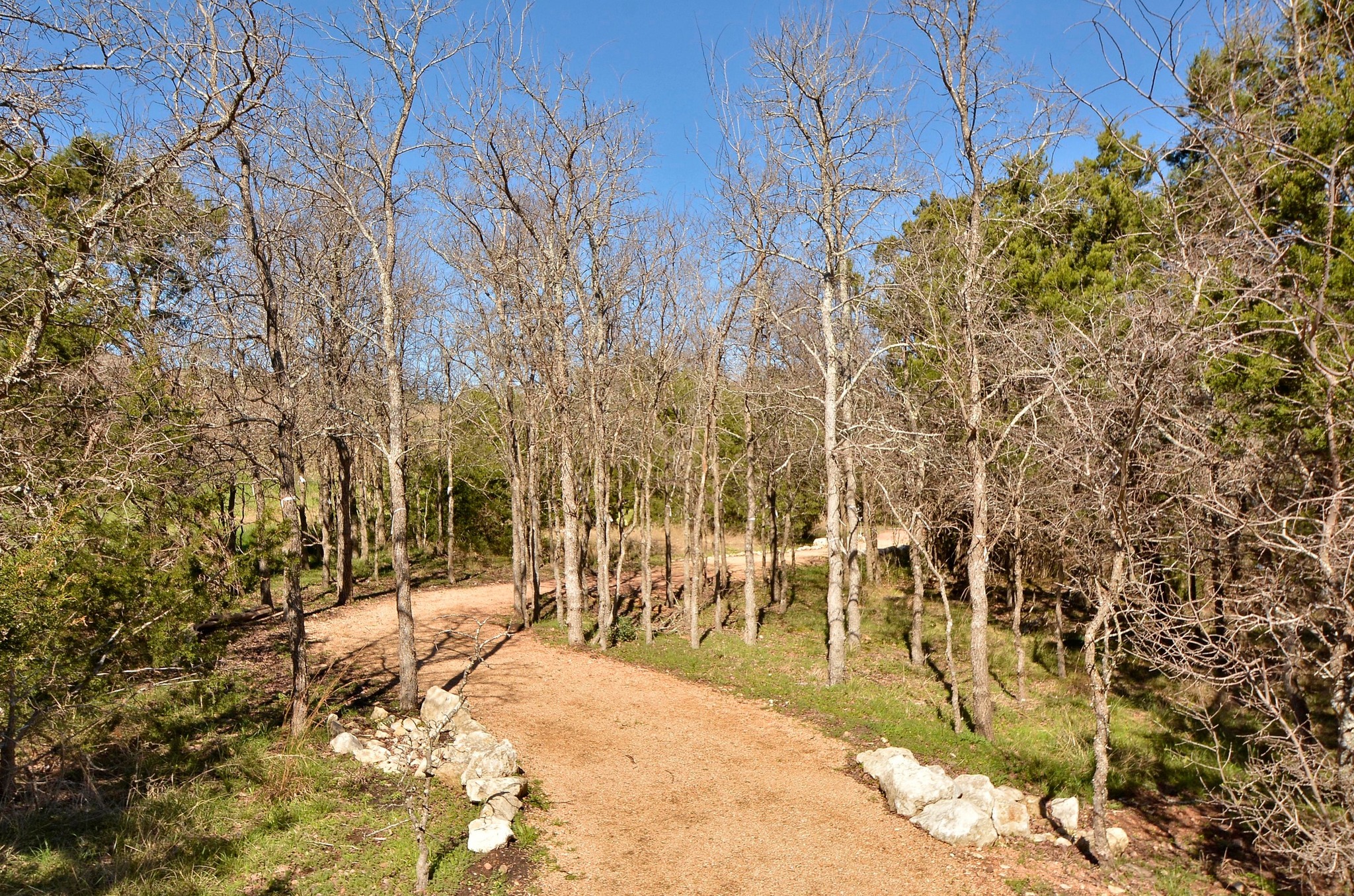 68 Rancho Trail Georgetown, TX 78628 - Photo 34 of 39 A tranquil, tree-lined path beckons, framed by natural rock formations and abundant greenery.
