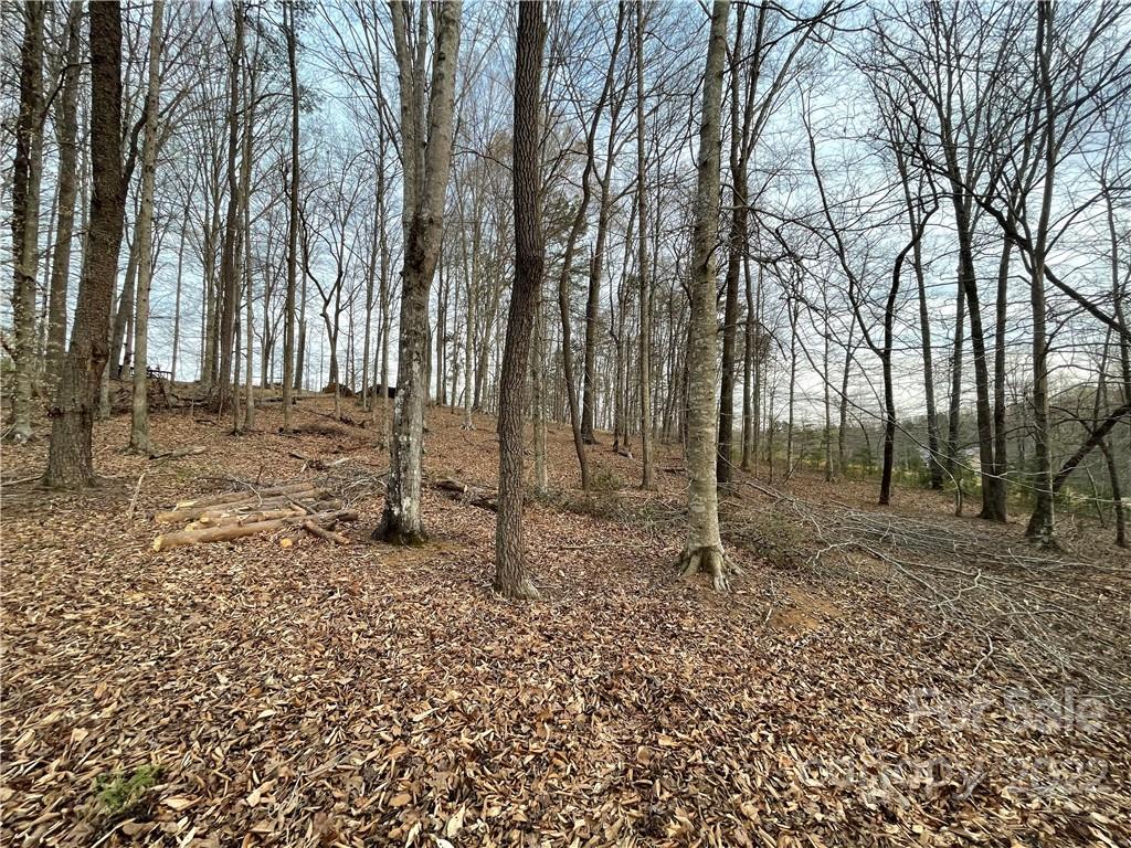 357 Cinnamon Ridge Rutherfordton, NC 28139 - Photo 29 of 40 a backyard of a house with lots of green space