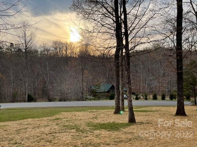 357 Cinnamon Ridge Rutherfordton, NC 28139 - Photo 38 of 40 a view of a yard with a tree