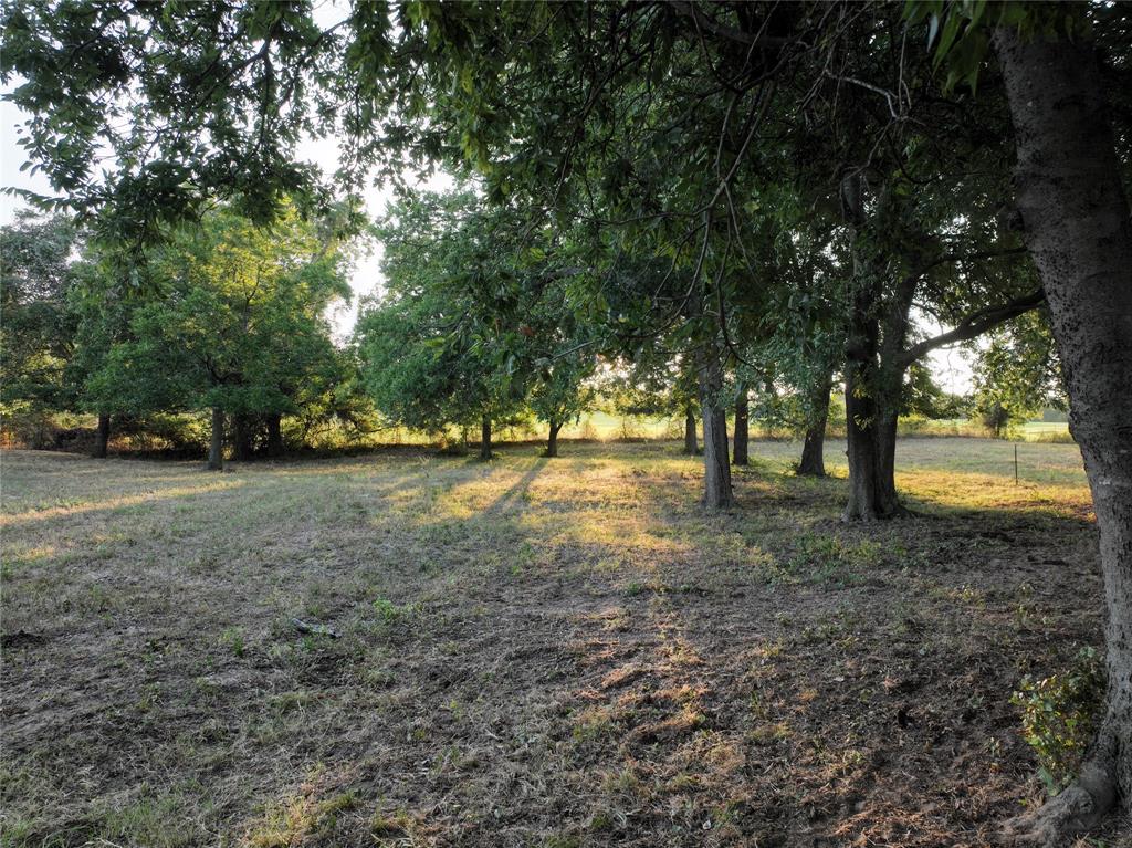 566 Harmony Road Weatherford, TX 76087 - Photo 4 of 14 View of yard