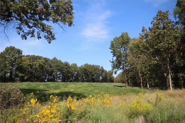 $423,000 | 0 47 Ac M/l Pike, Middletown, MO 63359
