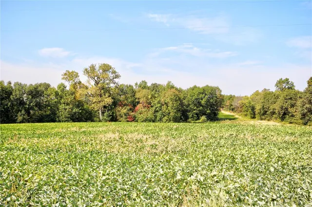 $423,000 | 0 47 Ac M/l Pike, Middletown, MO 63359