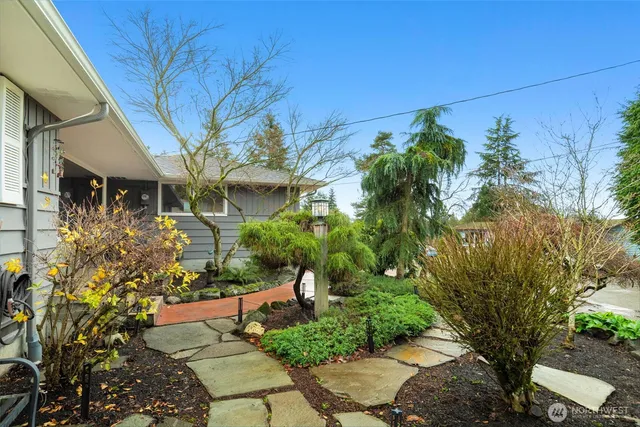 a view of a garden with plants