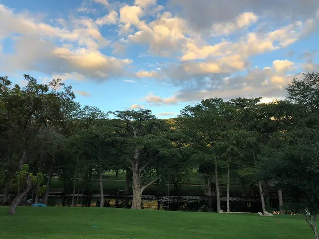a view of a trees with a big yard