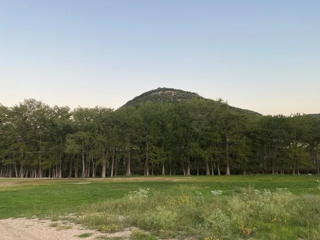 a view of a grassy field with trees in the background