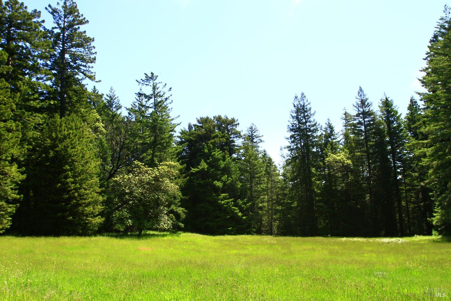31010 Stewarts Point-skaggs Springs Road Annapolis, CA 95412 - Photo 13 of 78 a view of green field