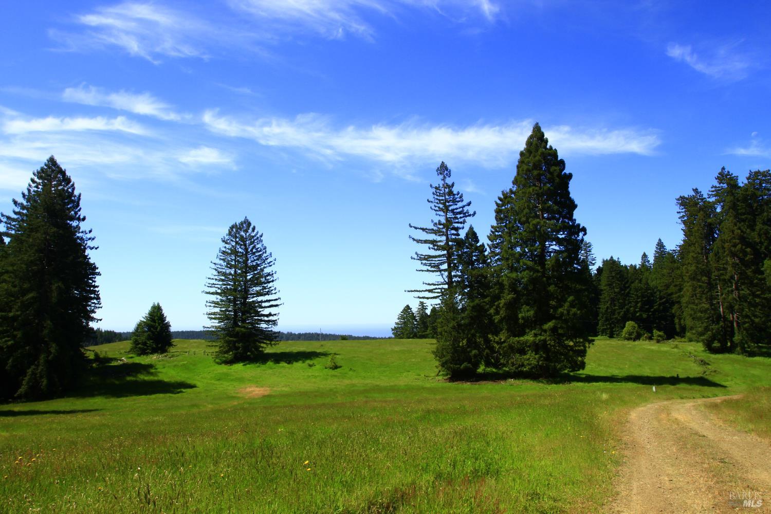 31010 Stewarts Point-skaggs Springs Road Annapolis, CA 95412 - Photo 14 of 78 a view of a garden with a building in the background