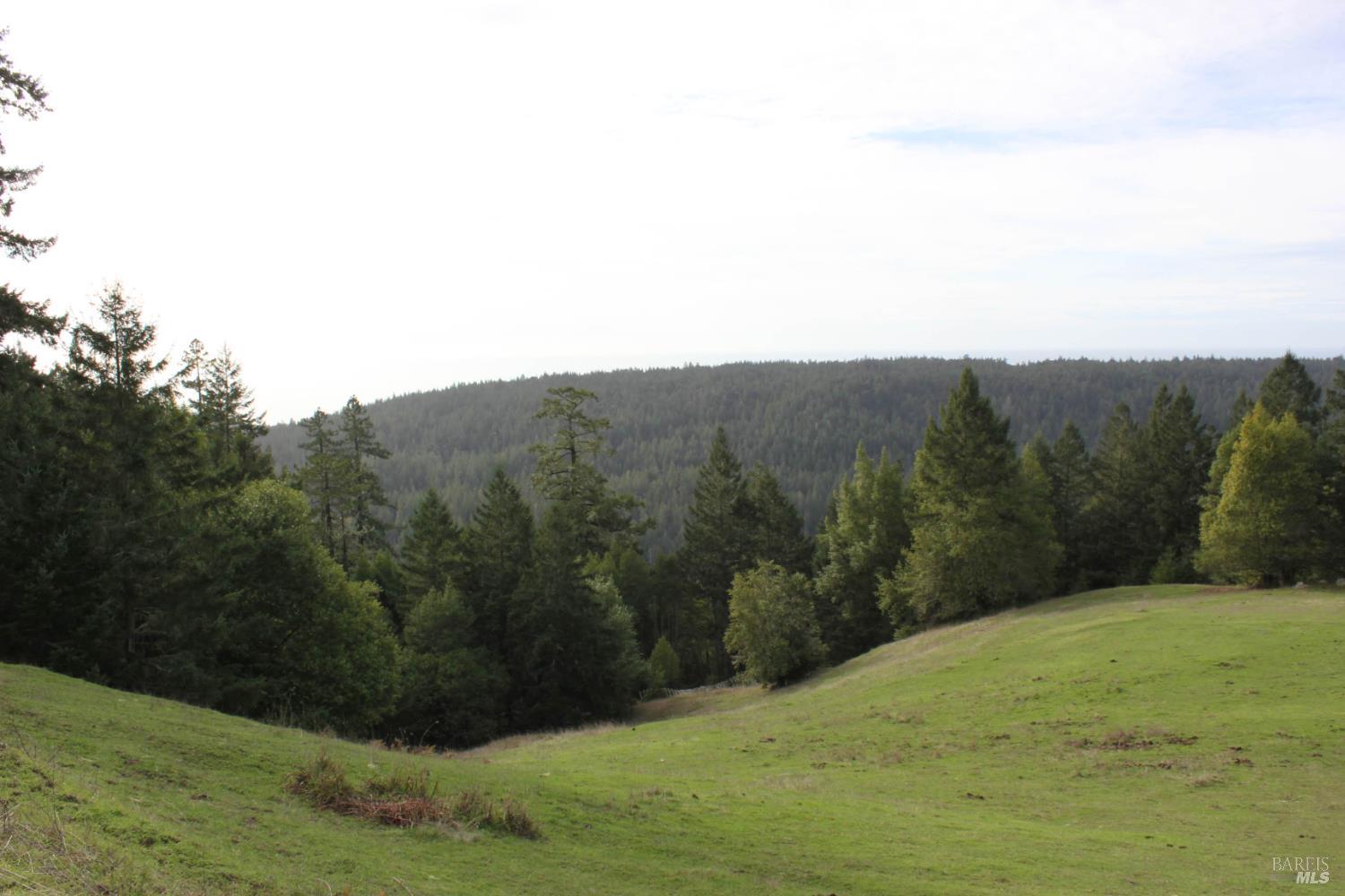 31010 Stewarts Point-skaggs Springs Road Annapolis, CA 95412 - Photo 19 of 78