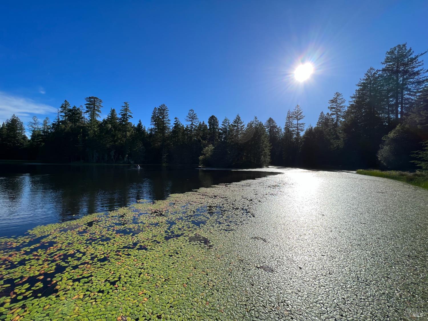 31010 Stewarts Point-skaggs Springs Road Annapolis, CA 95412 - Photo 20 of 78 a view of a lake view