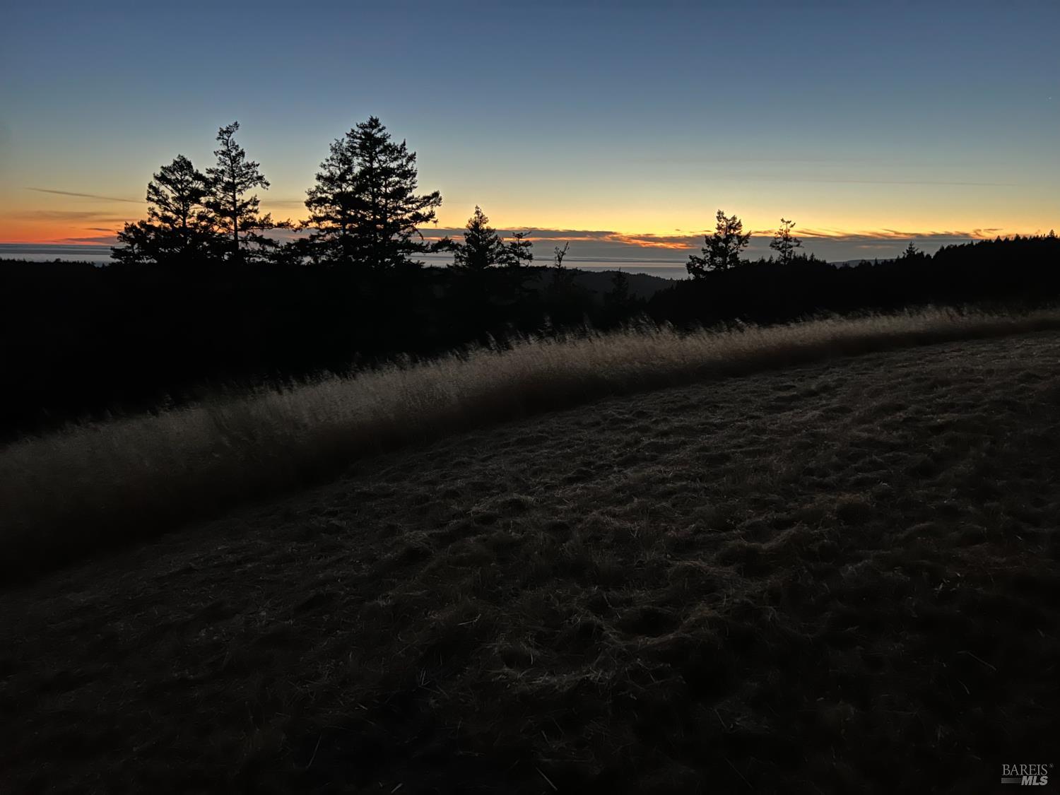 31010 Stewarts Point-skaggs Springs Road Annapolis, CA 95412 - Photo 21 of 78 a view of a yard