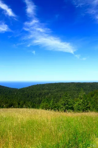 a view of a lake with a mountain in the background