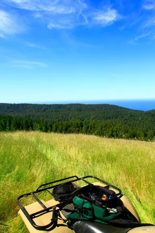 a view of a yard with an outdoor space