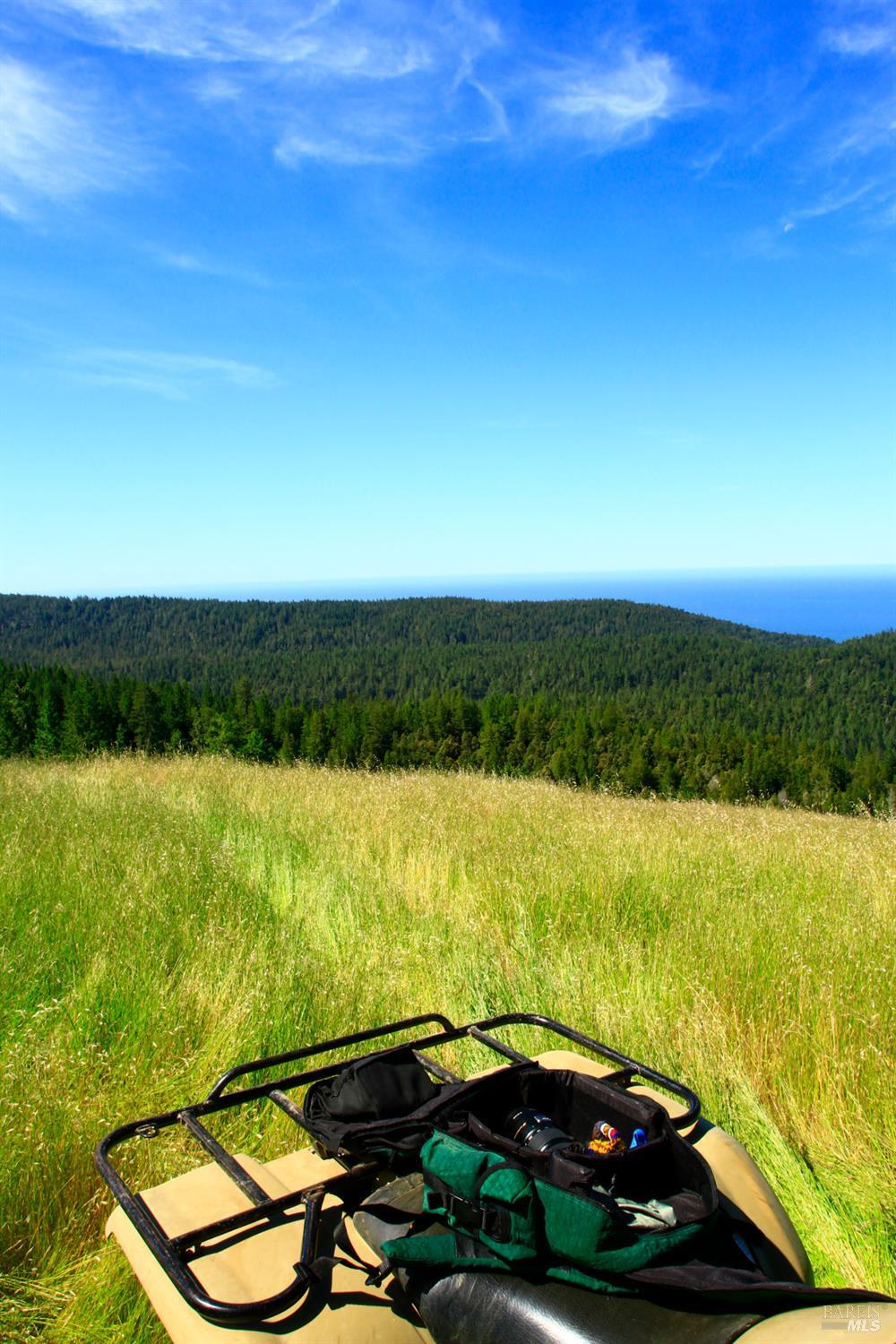 31010 Stewarts Point-skaggs Springs Road Annapolis, CA 95412 - Photo 24 of 78