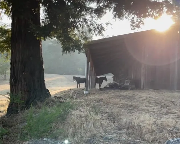 a view of a dry yard with wooden fence