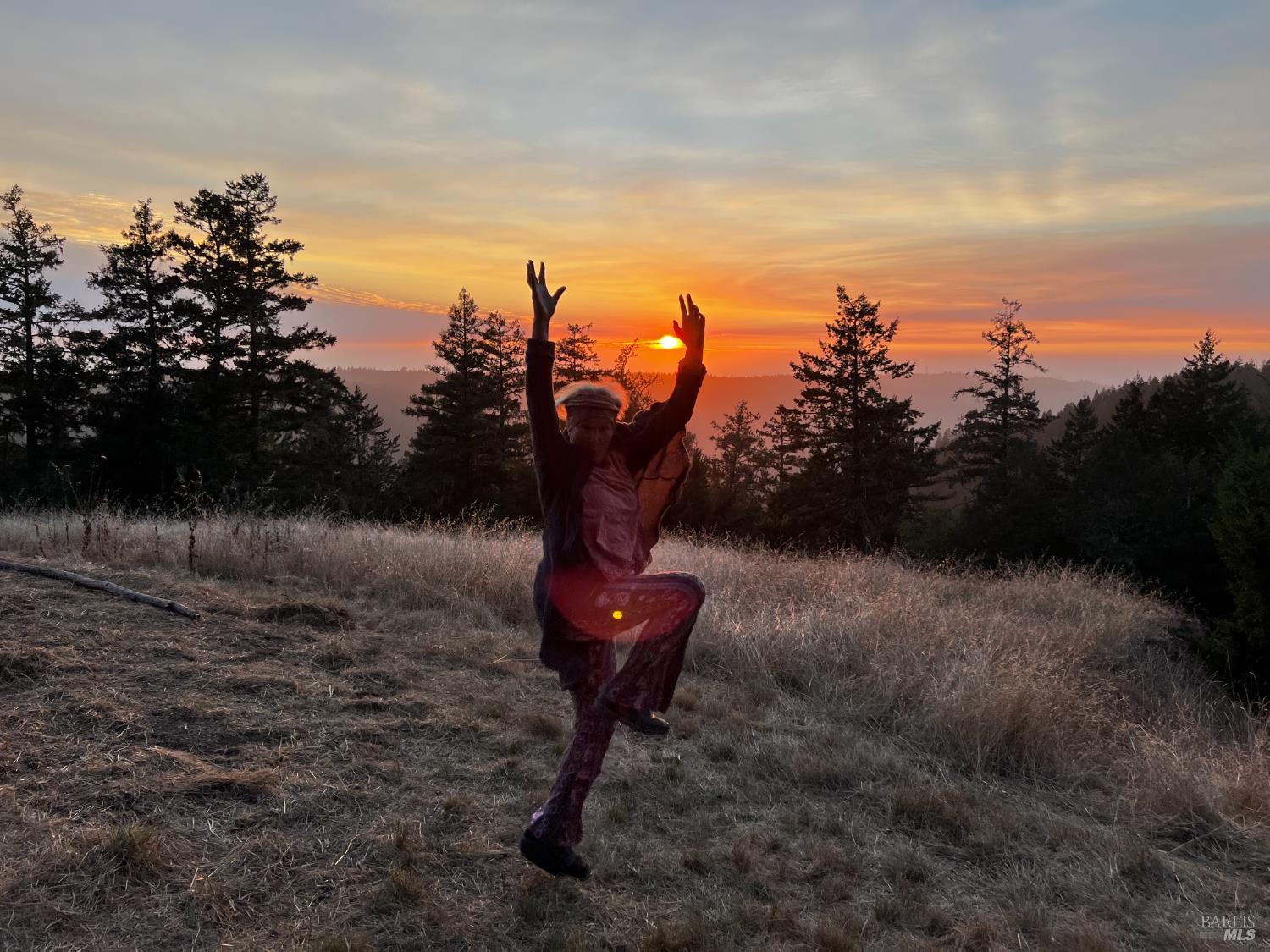 31010 Stewarts Point-skaggs Springs Road Annapolis, CA 95412 - Photo 26 of 78 a view of a backyard of a house