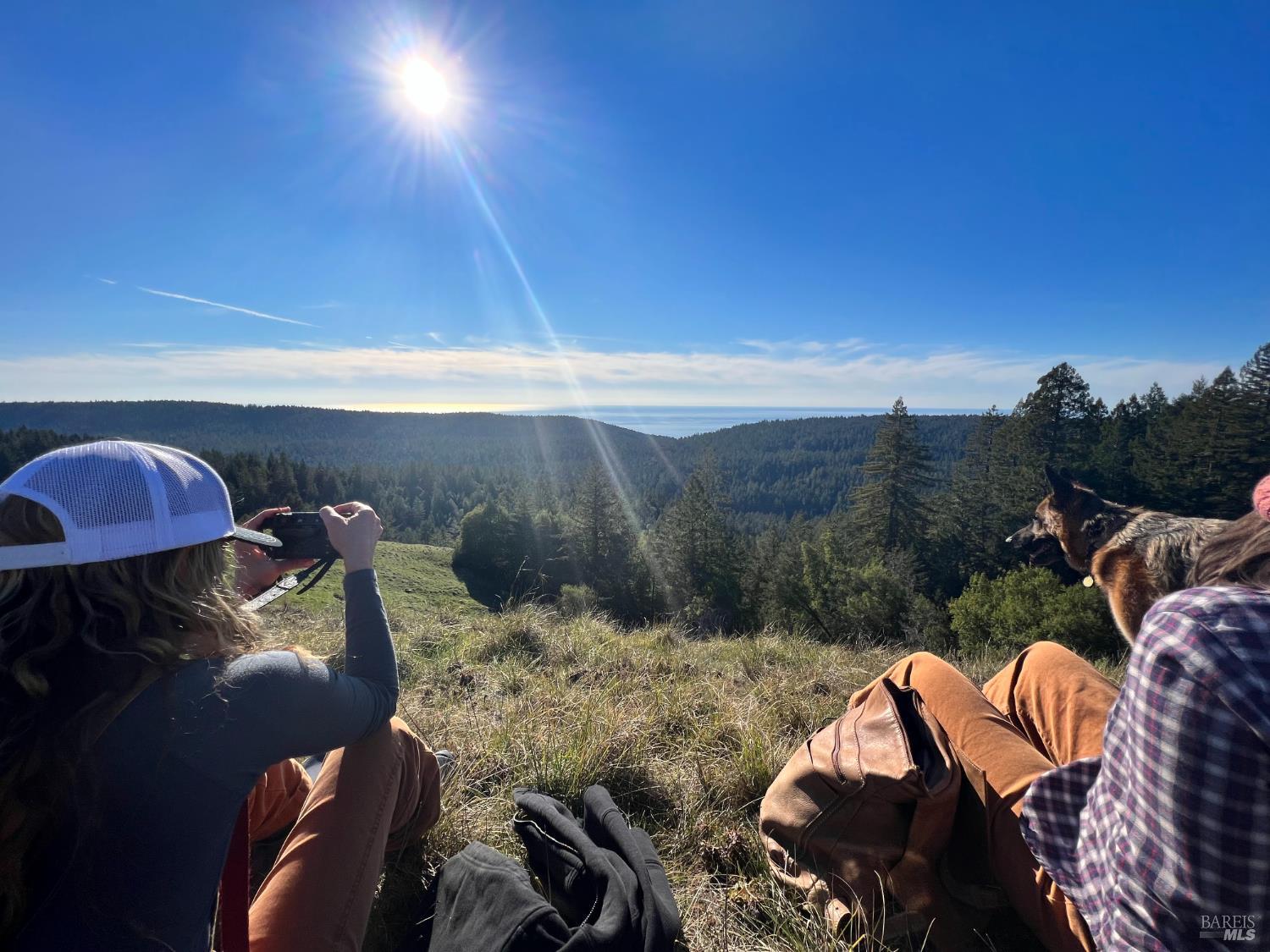 31010 Stewarts Point-skaggs Springs Road Annapolis, CA 95412 - Photo 27 of 78