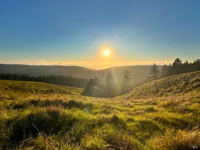 a view of an outdoor space and yard