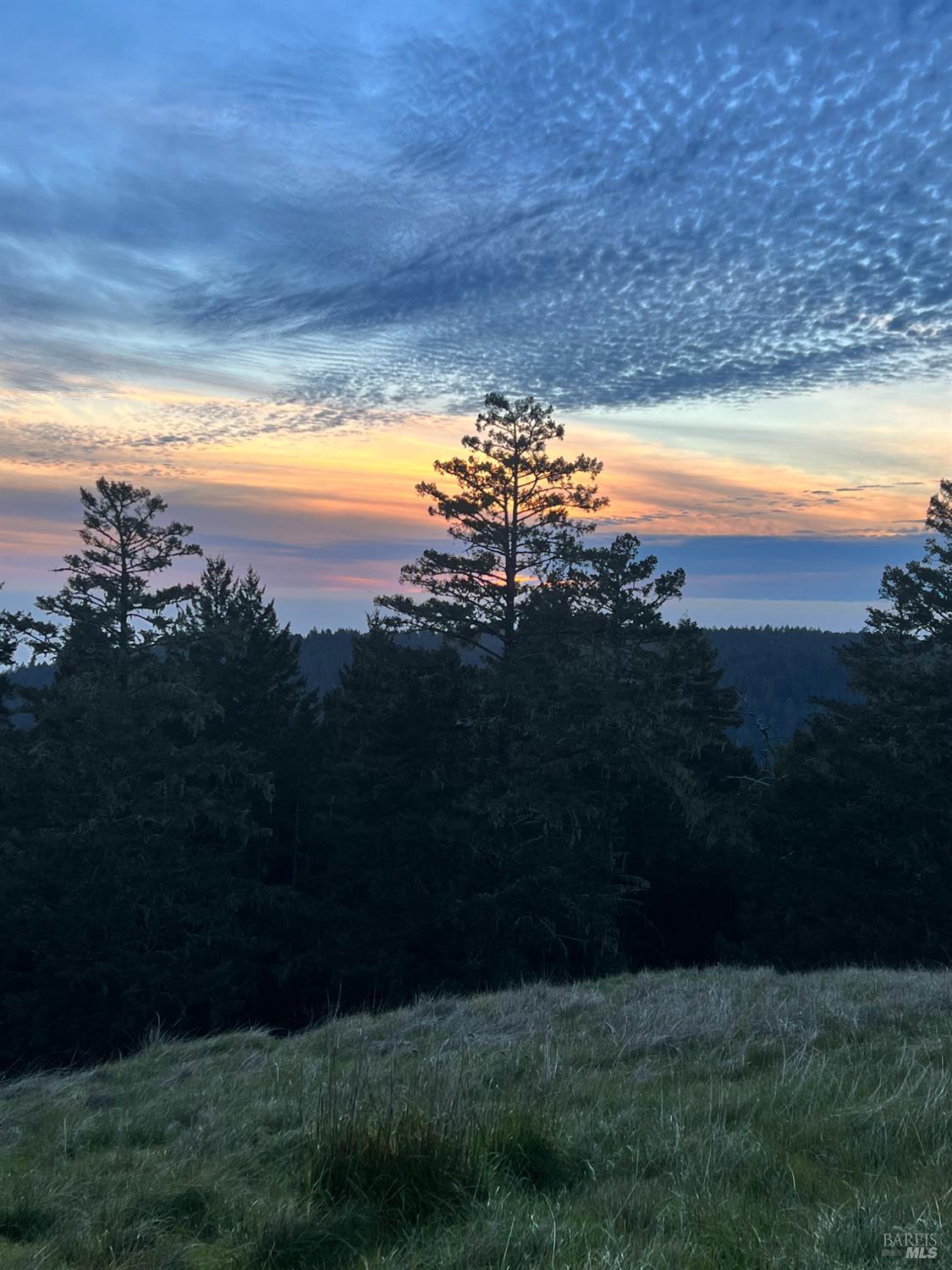 31010 Stewarts Point-skaggs Springs Road Annapolis, CA 95412 - Photo 29 of 78 a view of an ocean from a yard
