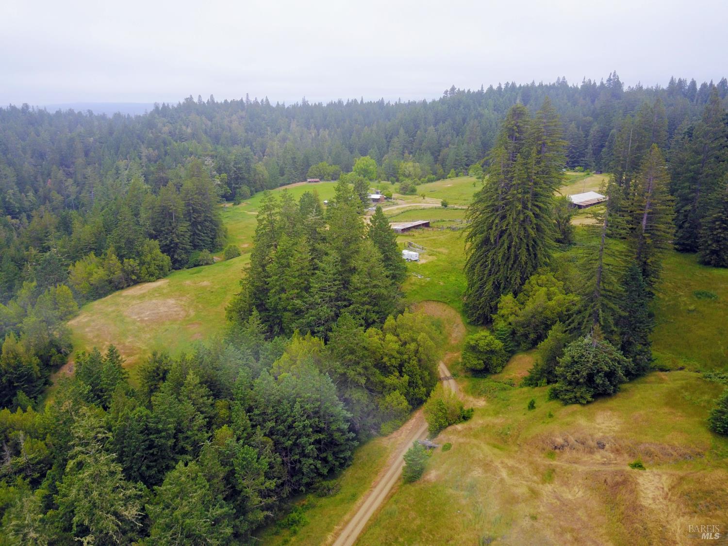 31010 Stewarts Point-skaggs Springs Road Annapolis, CA 95412 - Photo 30 of 78 a view of a yard with an trees